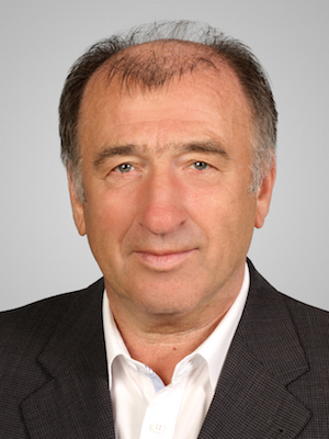 Johann Helmert